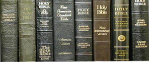 A sampling of the 300+ new "bibles."