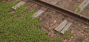 Train Tracks